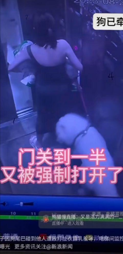 因女子多次发视频称被殴打羞辱，四川自贡某小区一起因牵狗进电梯引发的邻里纠纷引发了