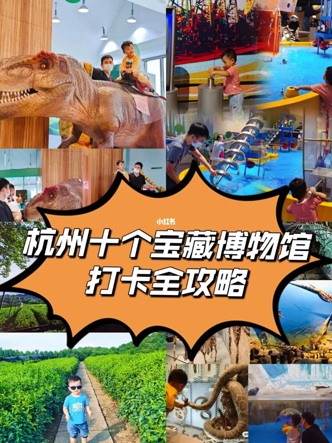 杭州10大宝藏溜娃博物馆（你值得拥有）