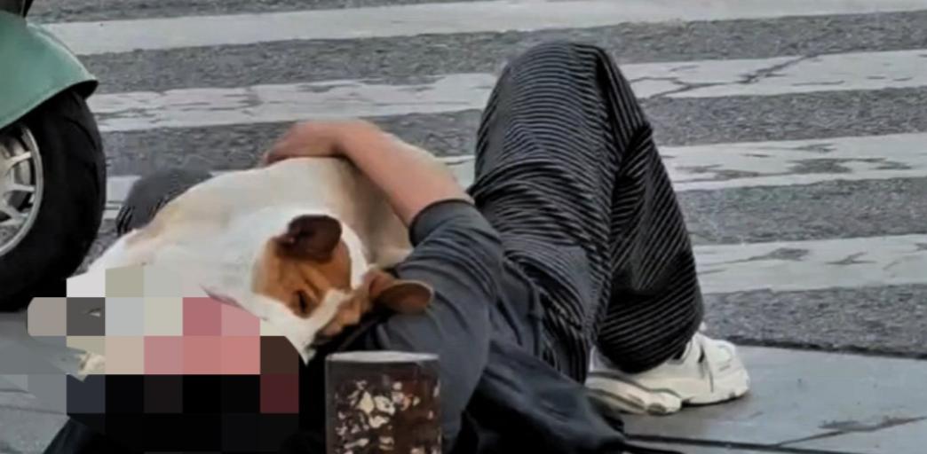 “悔得直拍大腿！” 一老太在小区散步被未拴绳烈性犬撞倒后不幸离世，家属找狗主索赔