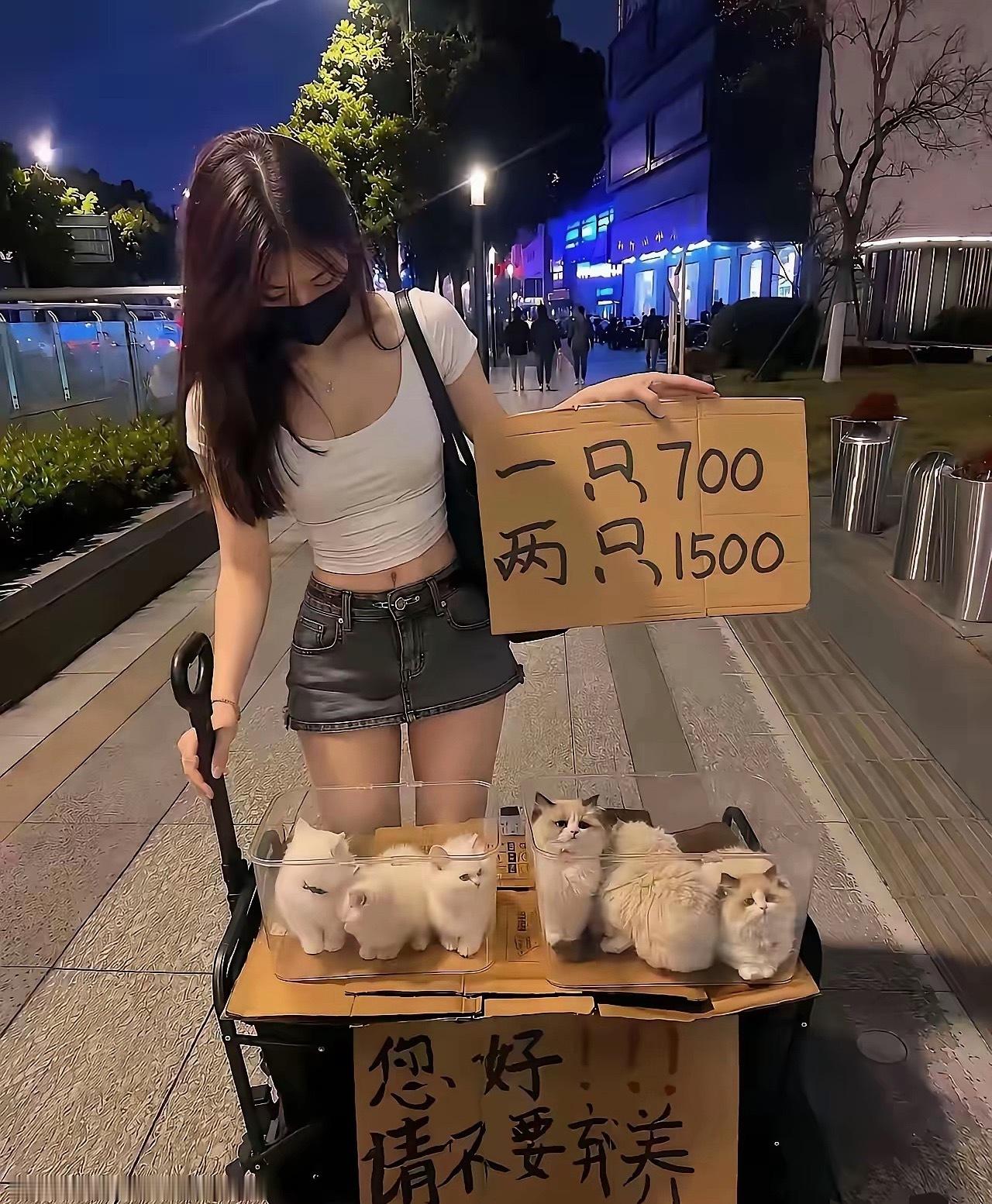 为什么两只要1500？ 