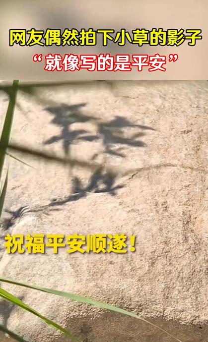 “这小草做梦都没想到它上人民日报了！”四川一女生在山上看风景，她被一个奇特的小草