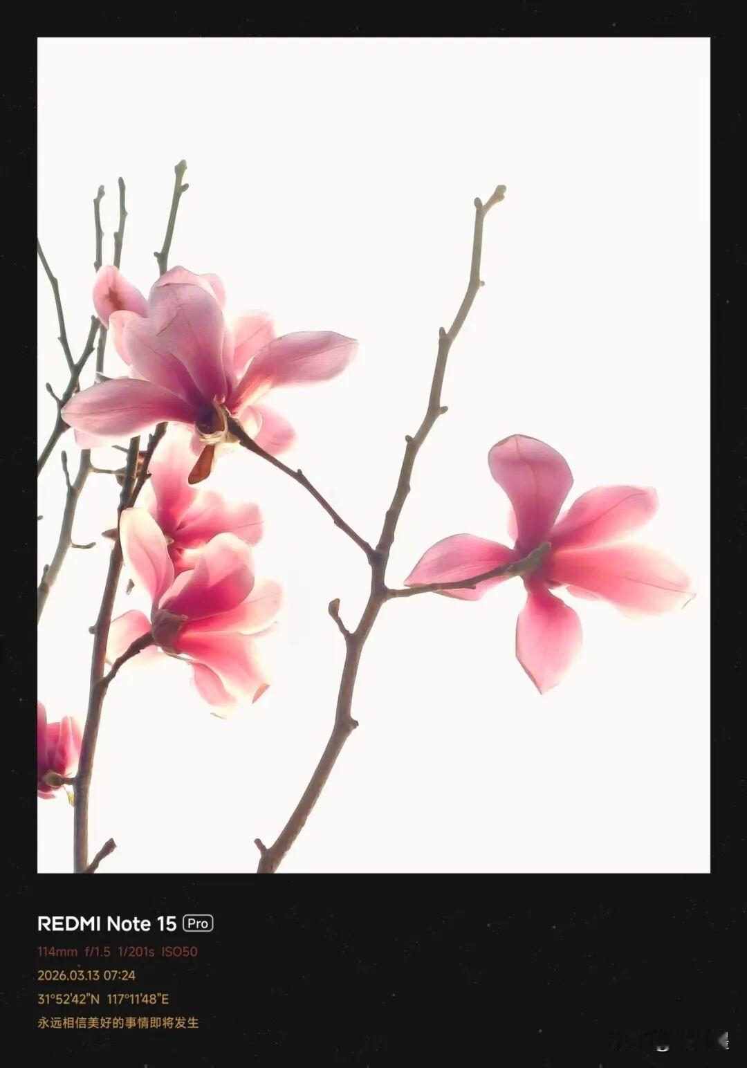 千元手机的拍照效果，不输iPhone！
来看实拍效果！
你会相信，这张照片是千元