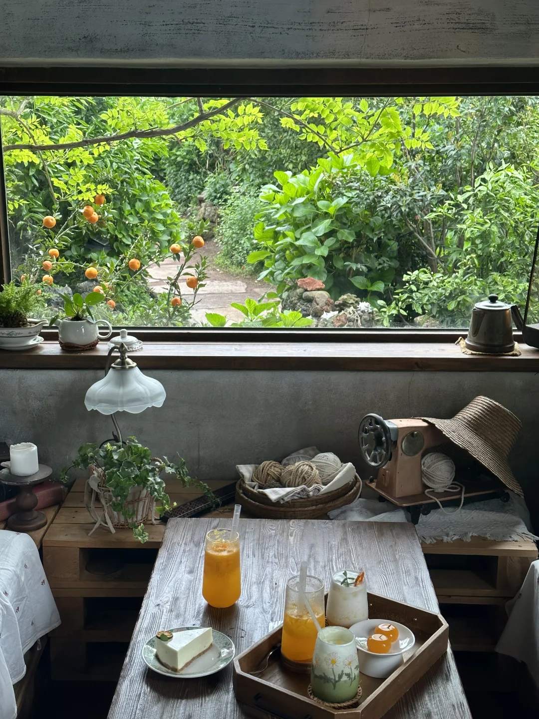 济州岛🇰🇷西归浦橘子咖啡店🍊
