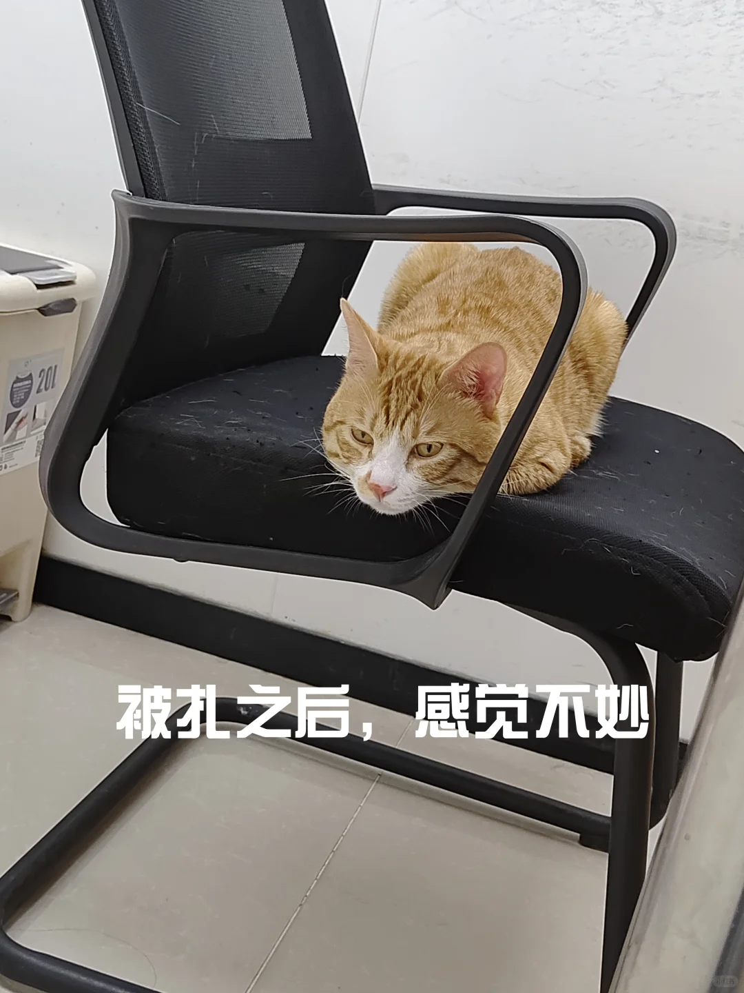 人生大事完成了✅