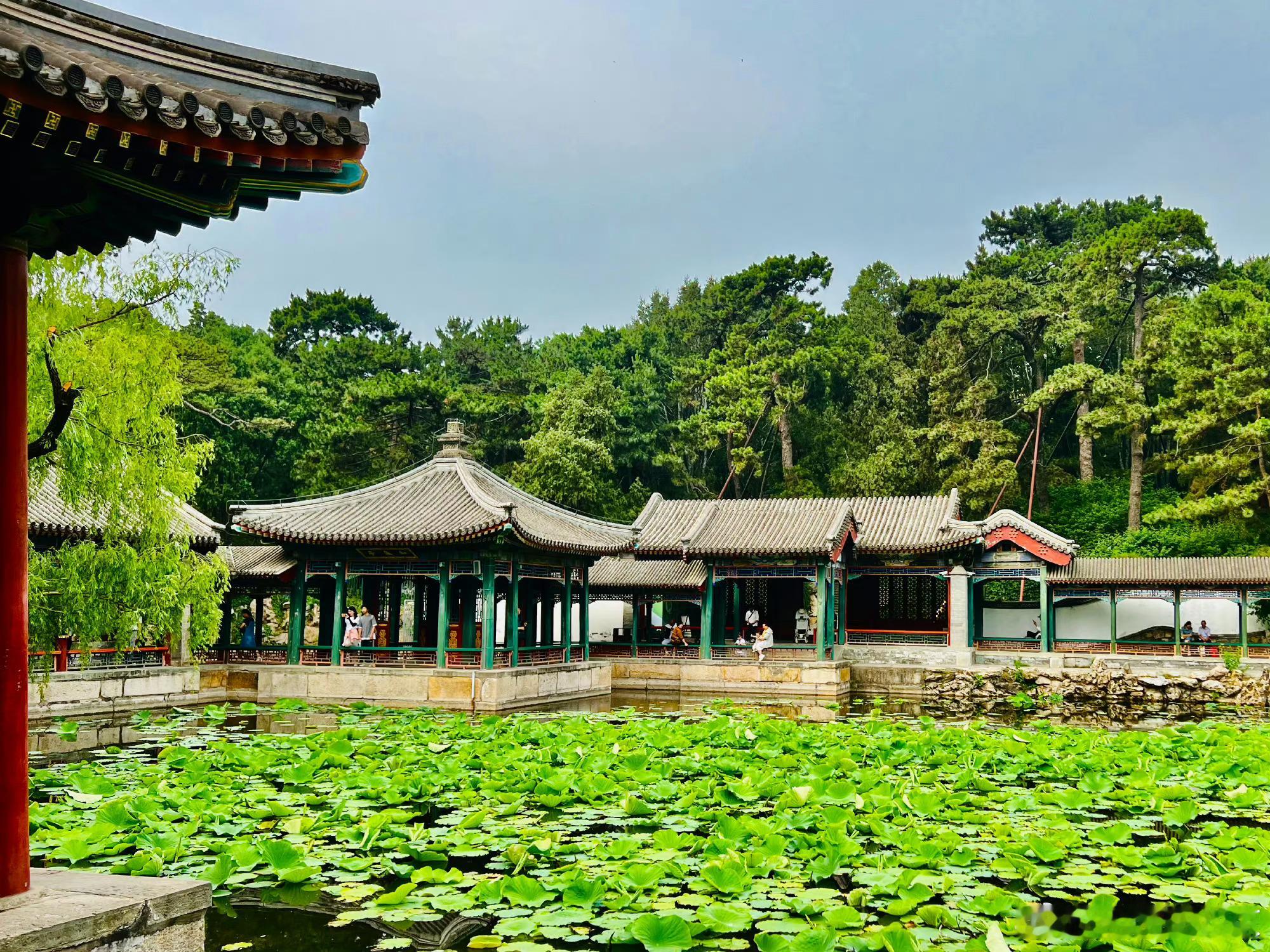 夏日的北京颐和园 摄影 ​​​
