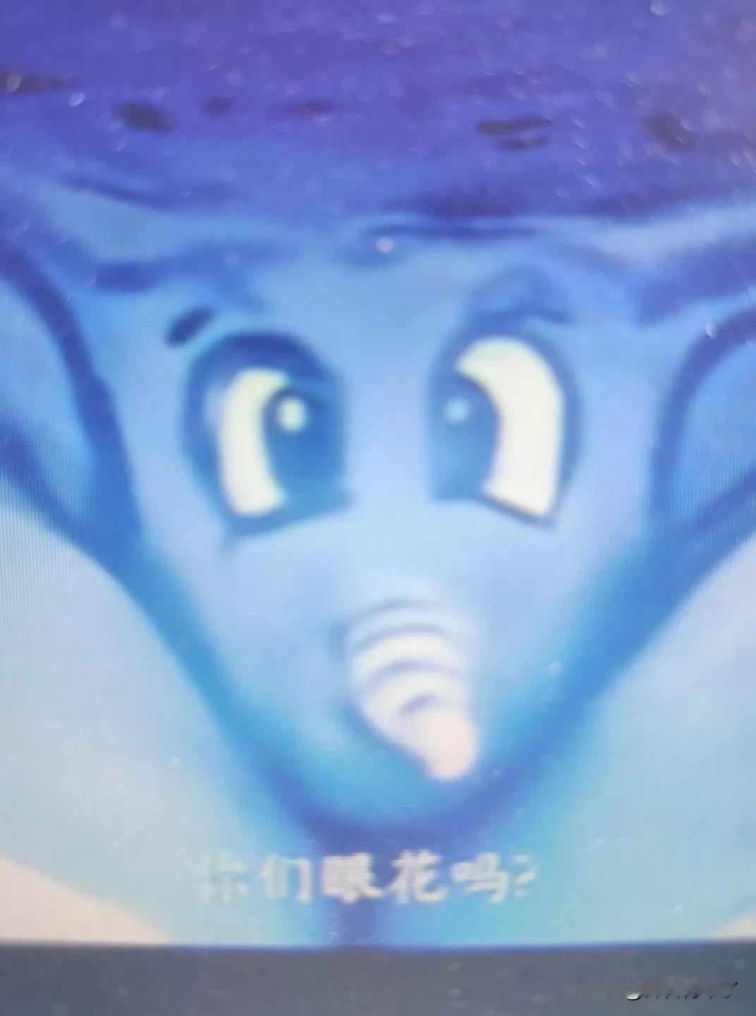 分享一张宠物的治愈照片