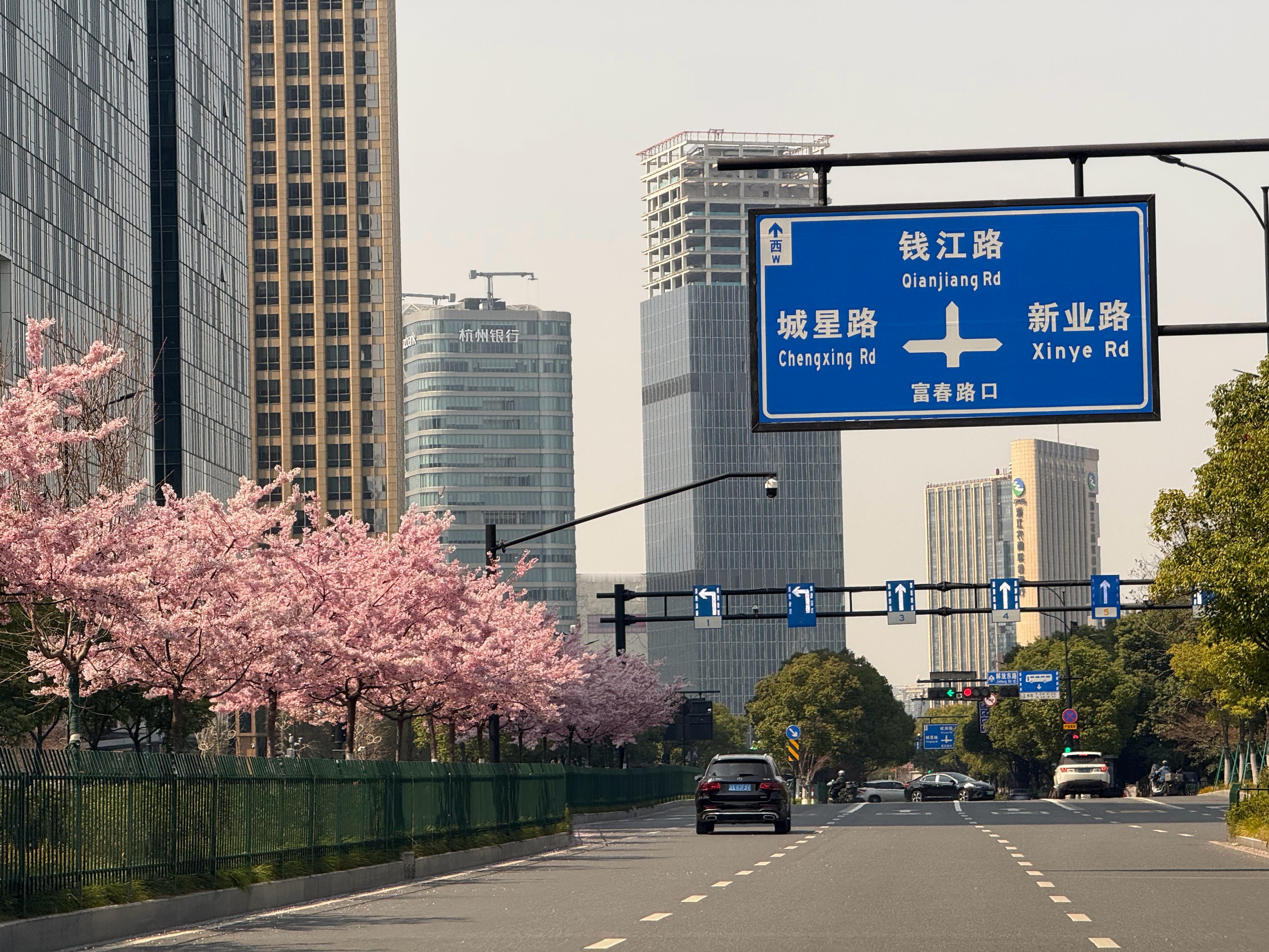 没认错的话，杭州这个不长叶子的花是樱花吧？  ​​​