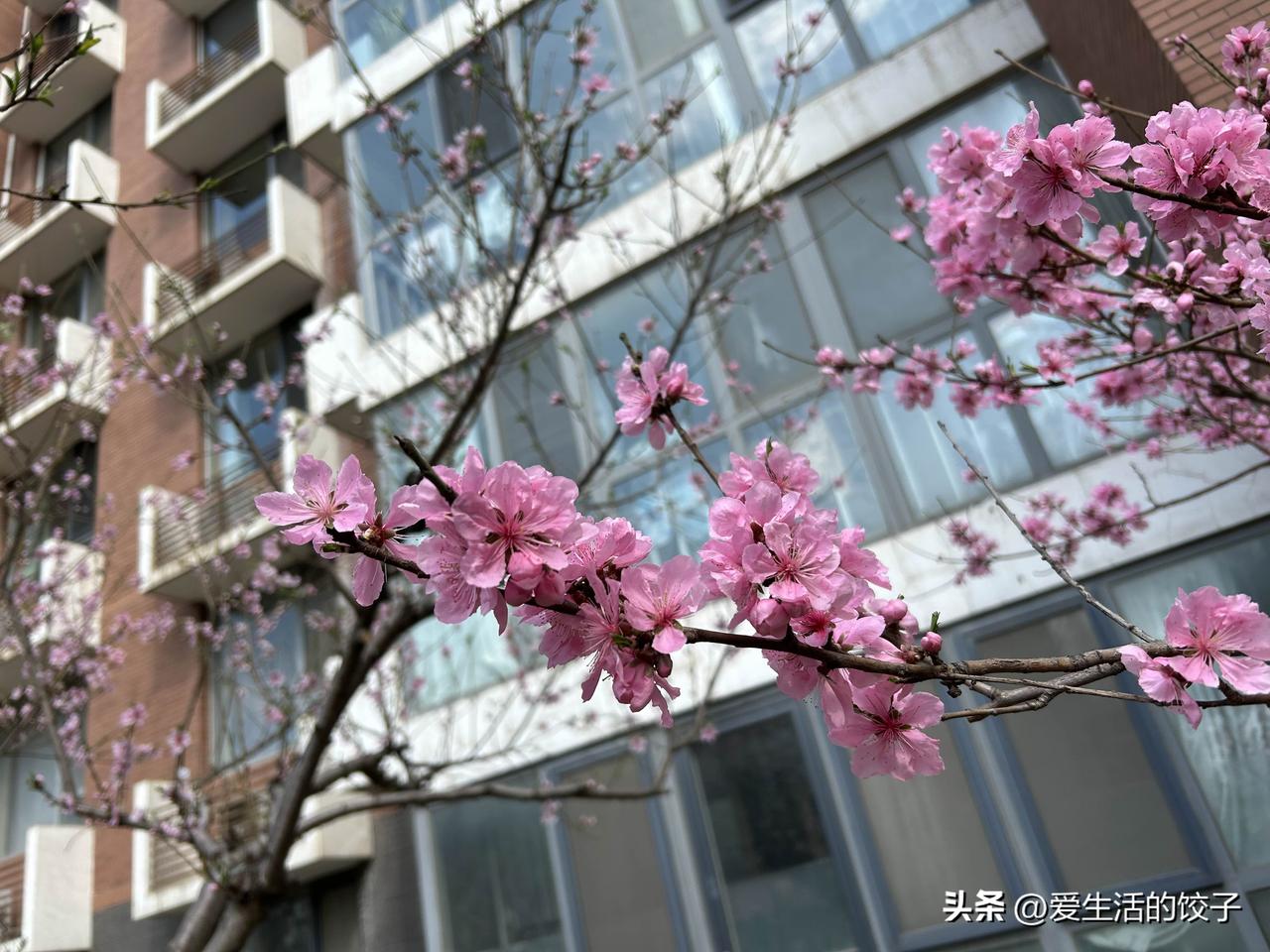 人这一辈子啊，也就开心活着才最有意思。可过日子哪能都顺顺利利，酸甜苦辣、喜怒哀乐