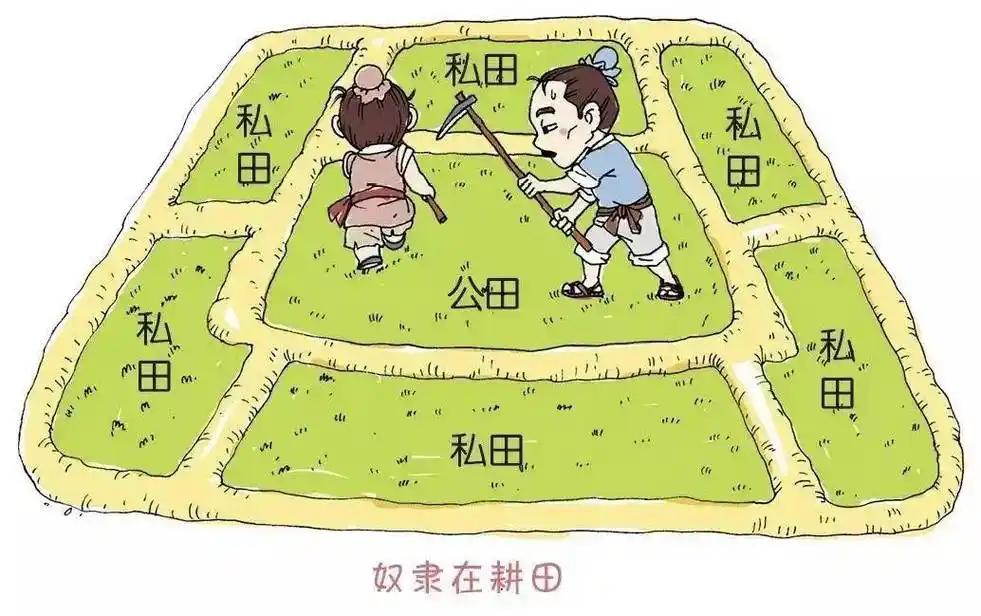 鲁国的初税亩制度该如何理解?鲁国的“初税亩”制度是中国古代历史上一次重要的赋税改