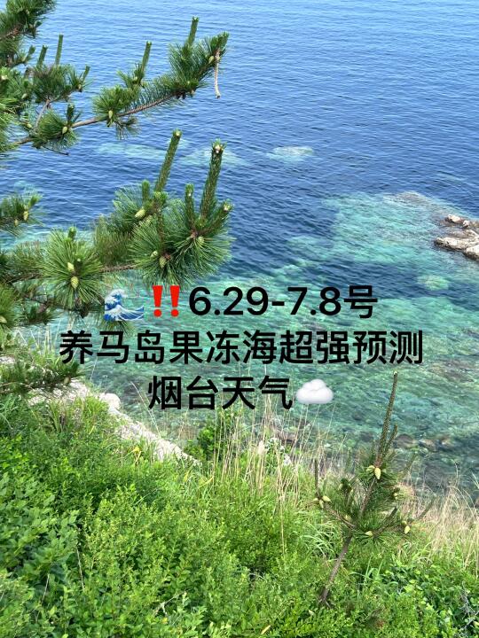 📍6.29-7.8号烟台养马岛果冻海超强预测