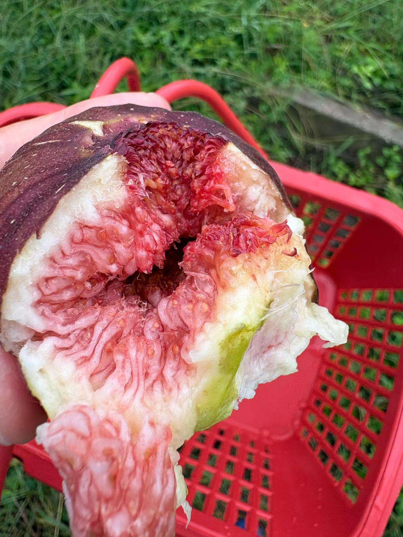 秋日生活打卡季开心！即将迎来中秋国庆长假，你准备去哪儿？说实话，记得五一去成都和