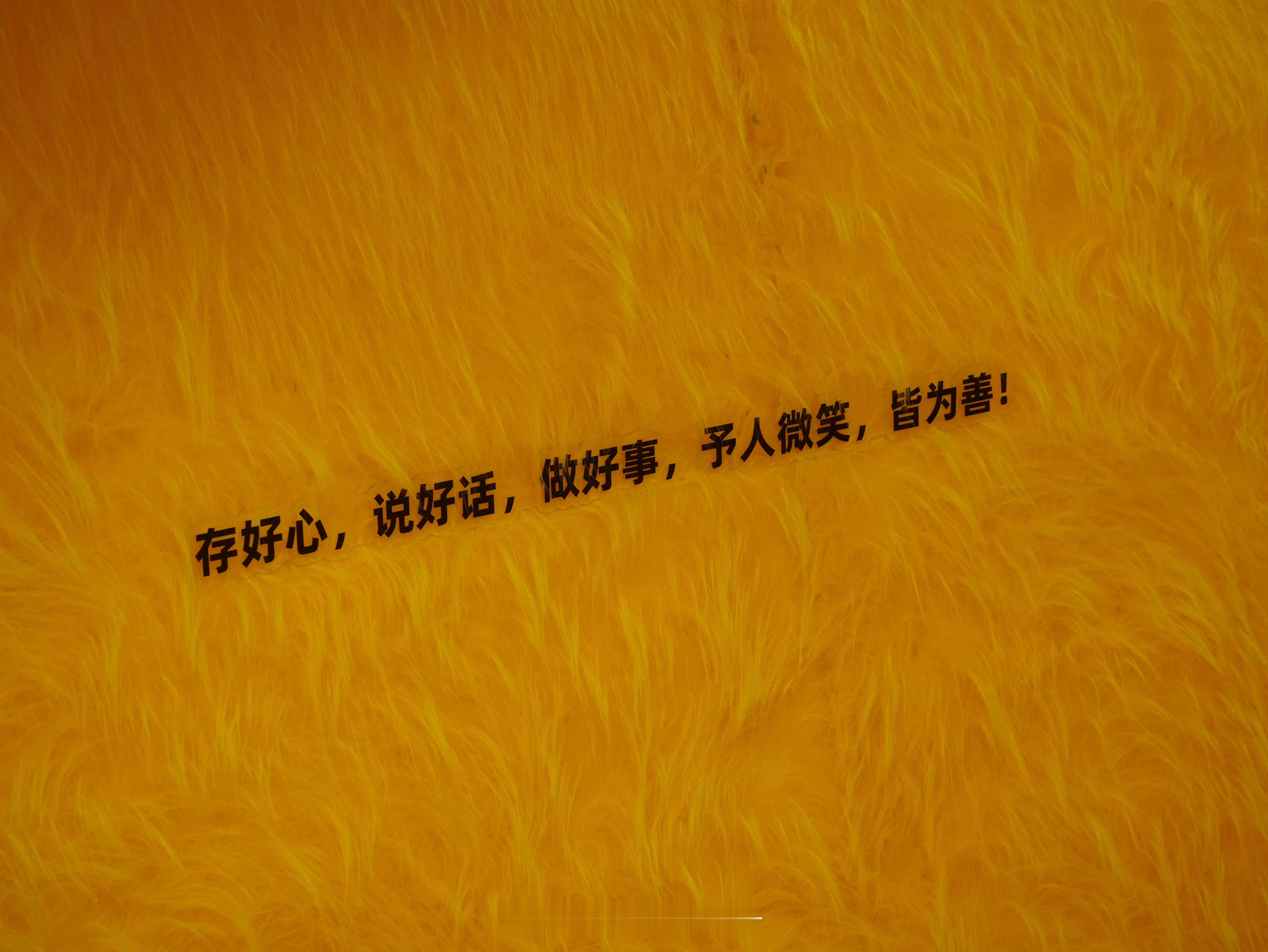 “相由心生，命随相转。”朋友们你们觉得是这么个事儿吗？[思考][思考][思考] 