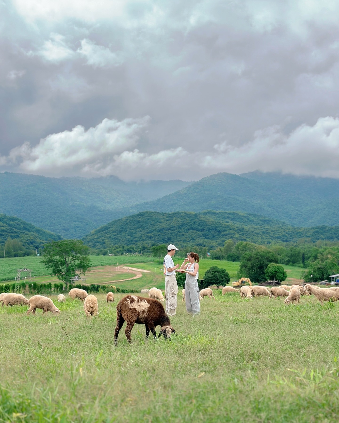 泰剧《医爱之名》的James求婚了～🎉 ​​​