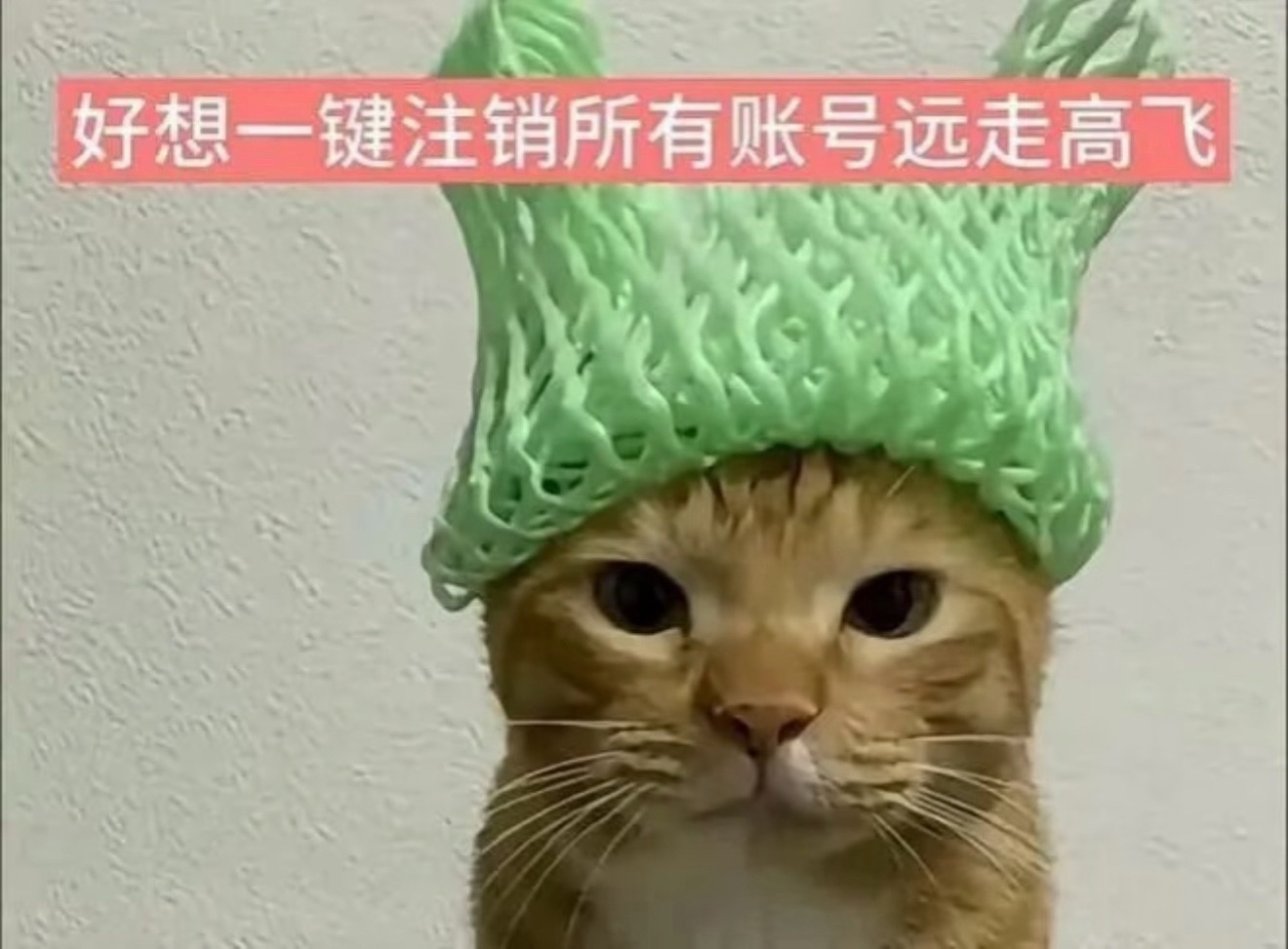 胃不好的人每天belike，之前胃疼做胃镜，查出来肠胃炎，每天饭前20分钟左右都