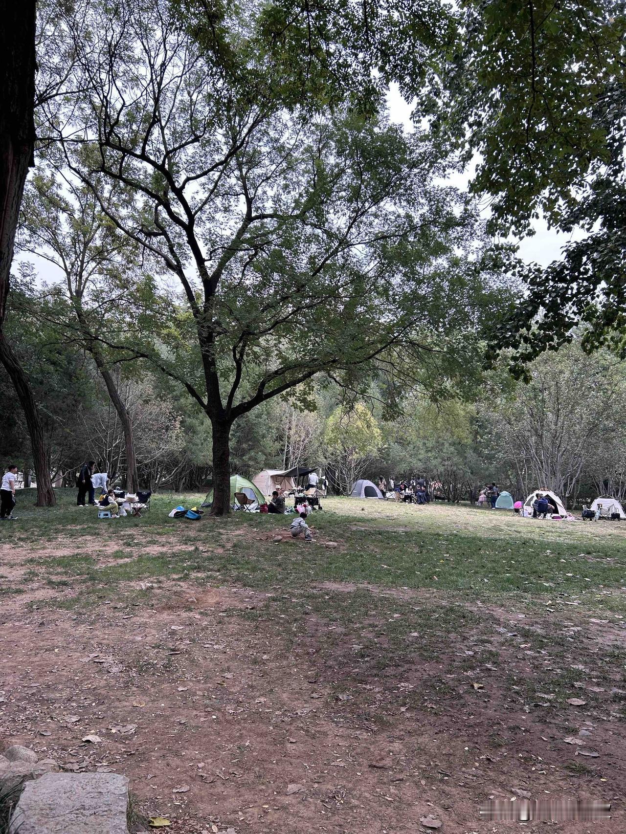 住在城市钢筋混凝土高层上，每到周末遇到好的天气，就想着出去放放风、踩踩土，感受一