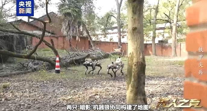 炸裂画面公开了！中国机器狼首次参加实战，机器狼群首次参加城市巷战！

中国陆基无