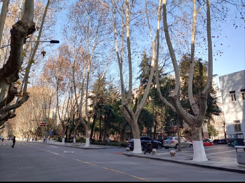 美丽校园里的一室一厅一厨一卫，一个月物业费只要五元，每年取暖费是每个采暖季结束后
