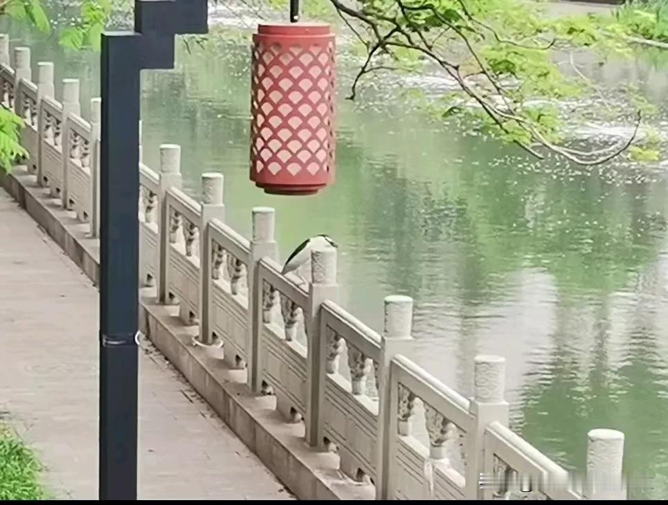 请善待自己，
虽然一年有四季，
但人生短暂；
请爱护亲人，
虽然天长地久，
但岁