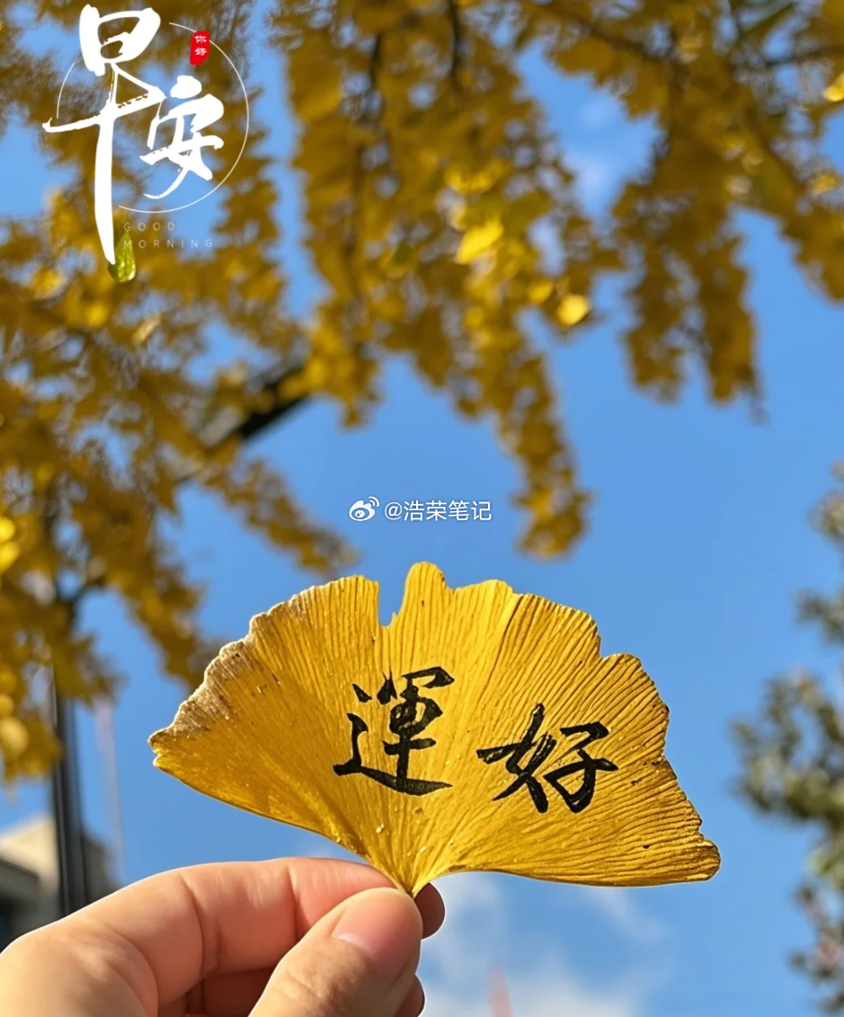 周五 成年人的浪漫是，左手握紧现实，右手不忘远方。赚钱不是俗气，是让自己活得有底