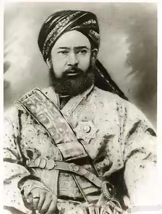 让人不敢相信！外国的一个流浪的儿童，竟然占领了我国的新疆。

阿古柏是浩罕汗国人