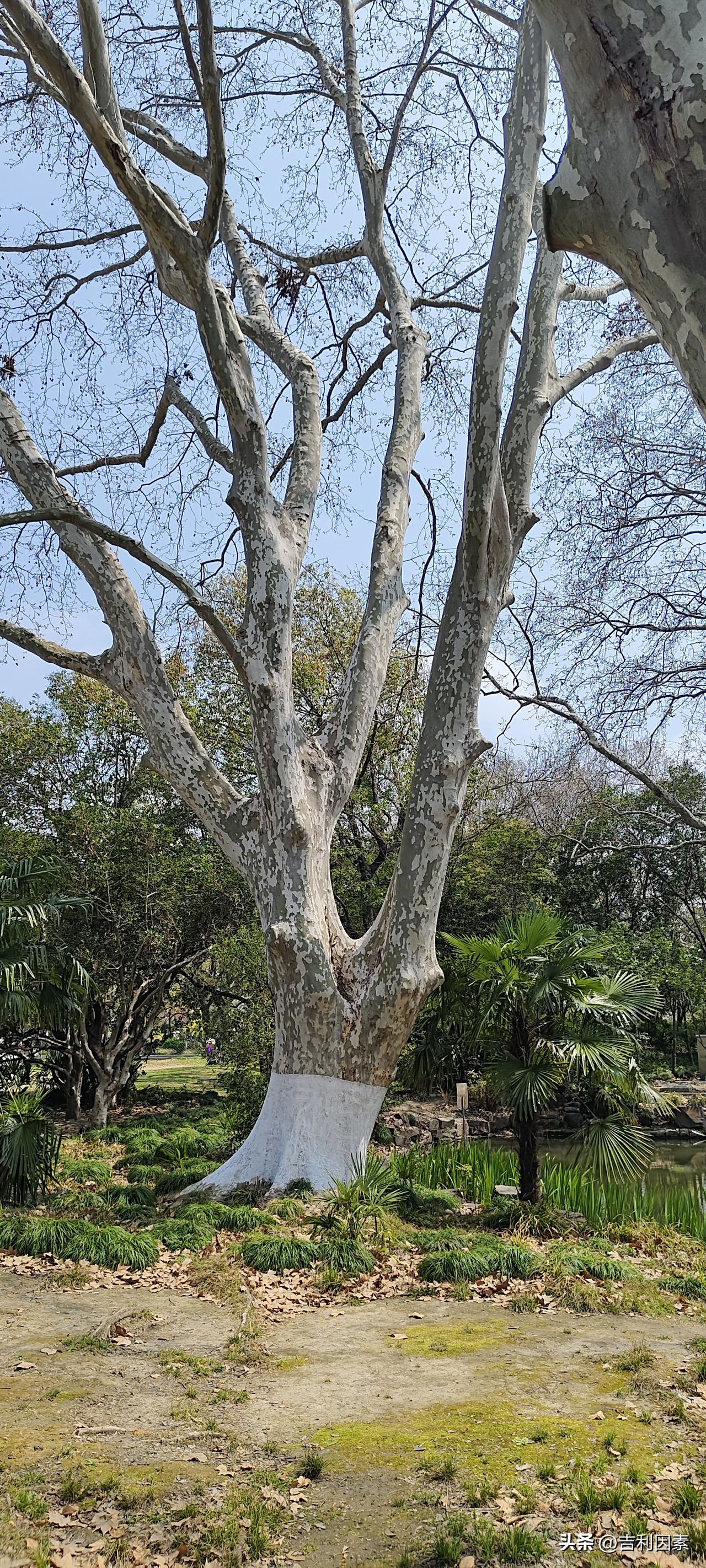 建议立法限制“不是……为什么……”的狡辩
“不是你撞的，你为什么去扶？”
“不是