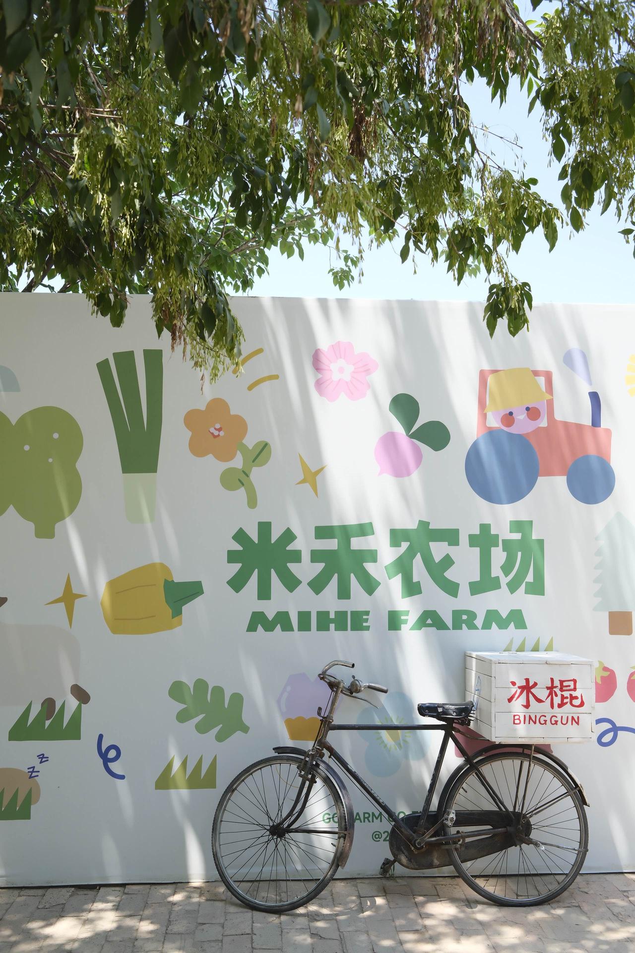 西安市区惊现向日葵秘境！未央区米禾农场夏日限定花海美到窒息🌻金色花浪随风摇曳，