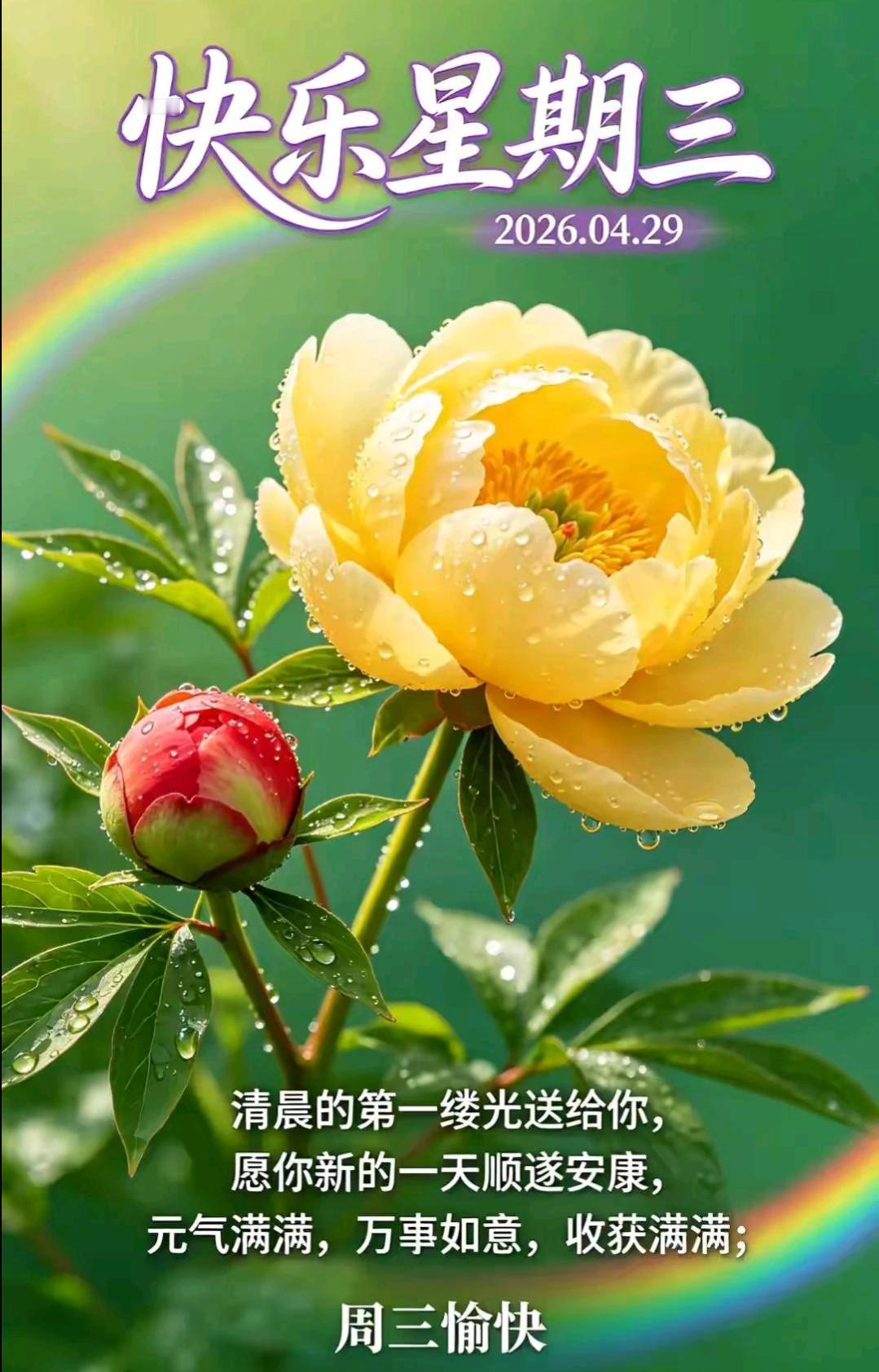 今天是2026年4月29日，周三。早安🌅！新的一天，又是崭新的开始，愿你放下昨