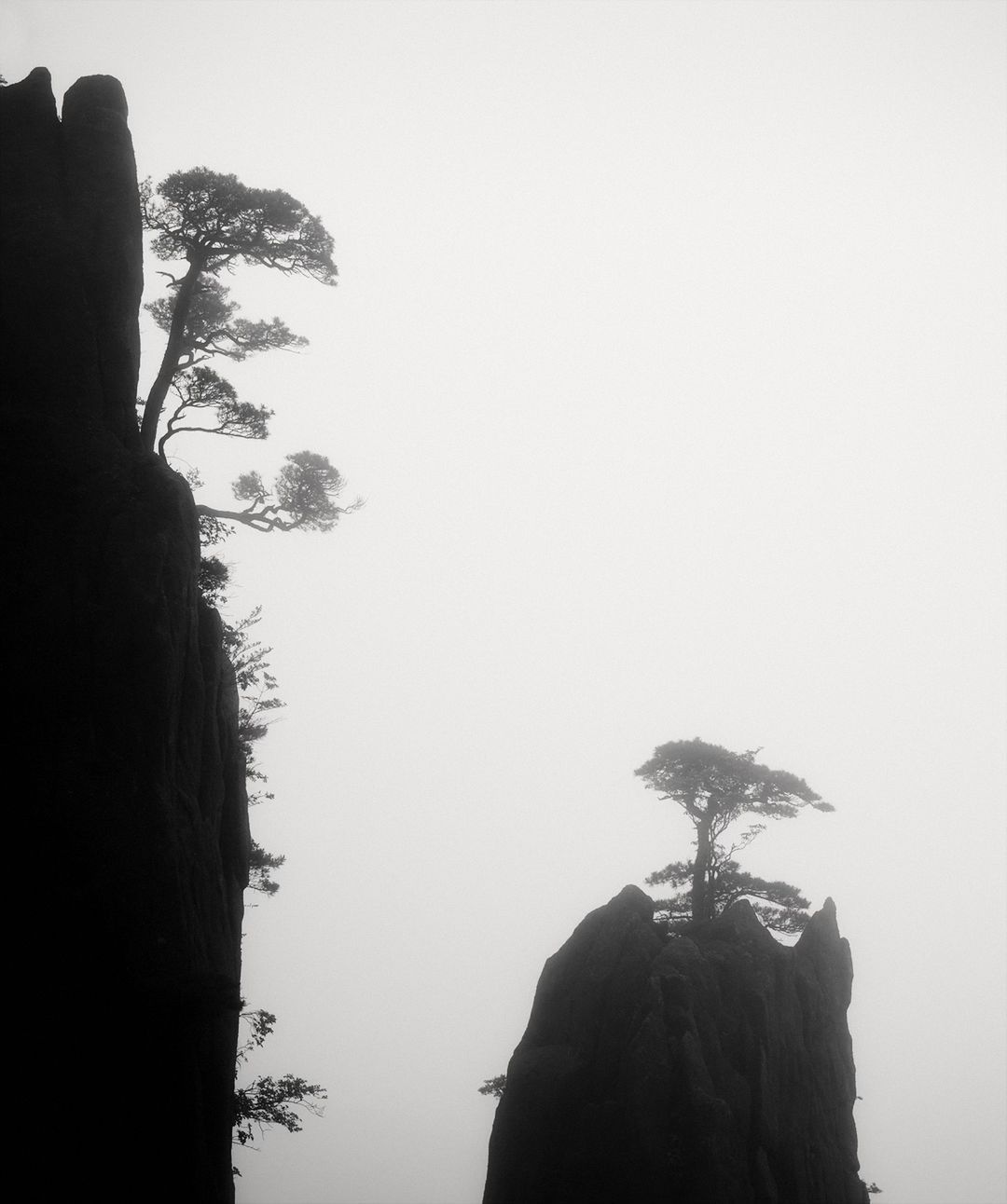 黄山 ​​​