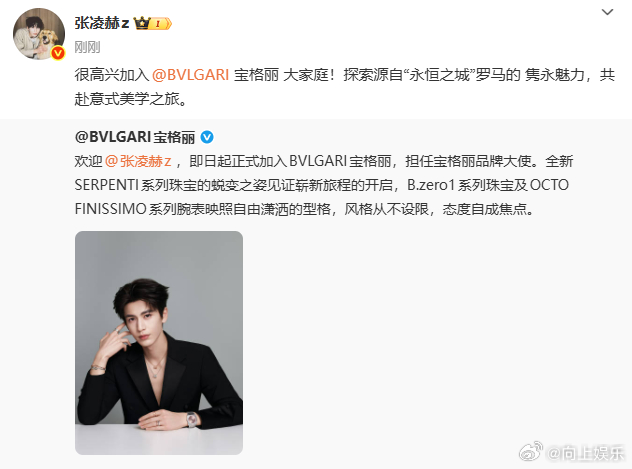 宝格丽官宣张凌赫了张凌赫官宣担任宝格丽品牌大使张凌赫官宣担任宝格丽品牌大使，宝格