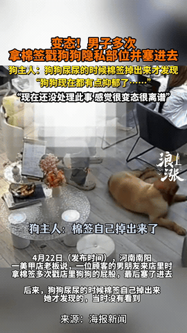 河南南阳，一20岁小伙陪女友做美甲，
趁店主不备，拿起棉签疯狂往小狗隐私部位里捅