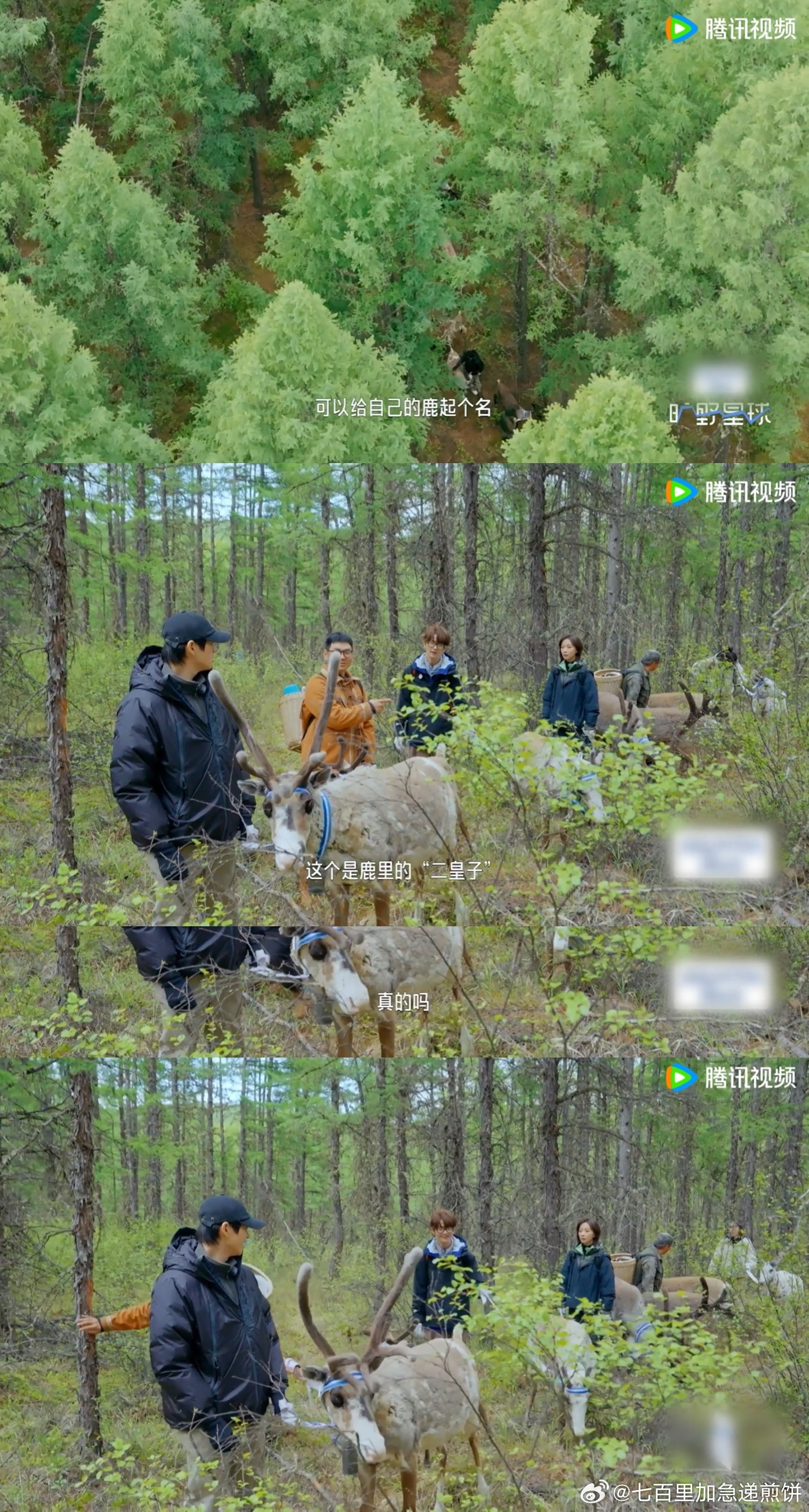 刘端端离了庆国再遇二皇子 在大兴安岭的森林里上演二皇子相遇的戏码了！刘端端离了庆