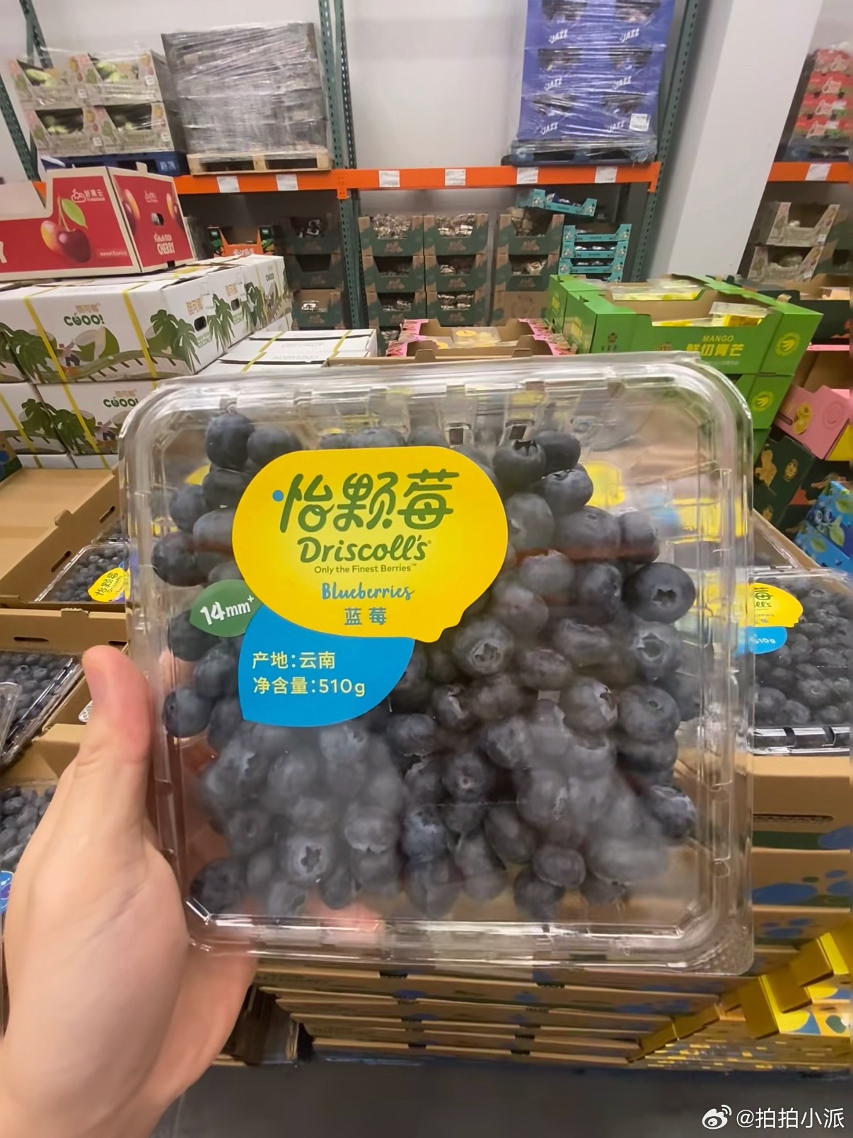 怡颗莓 致癌物，果然不是越贵的越好，我的钱包救了我的命…… 