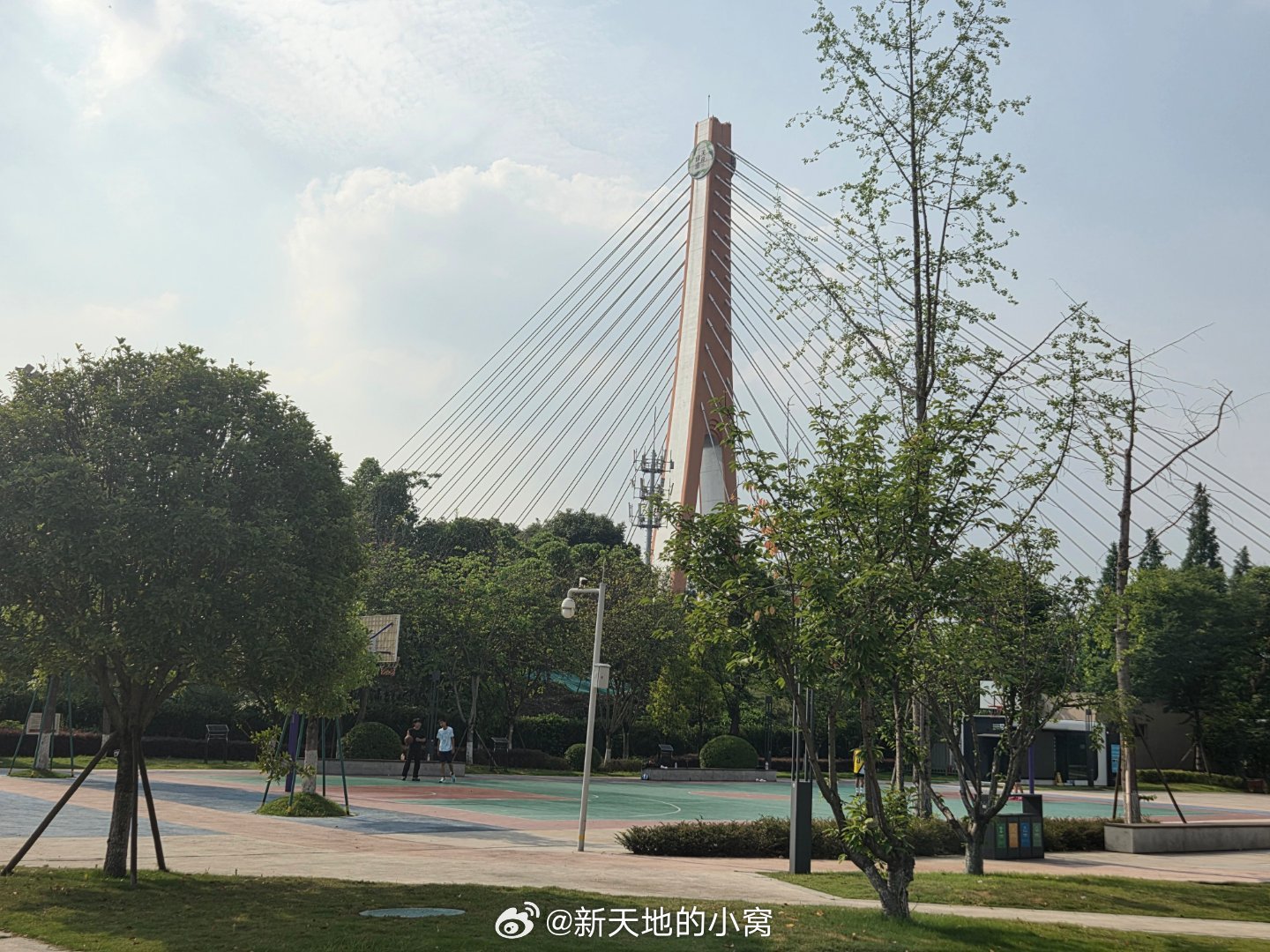 这里是成都这样的成都你确定不来成都中国数字文创第四城城市影像记手机摄影爱好者来到