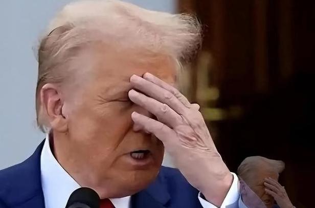 这下出名了，不仅美国，全世界人民都知道了，谁能想到，特朗普的内外困局竟把美国霸权