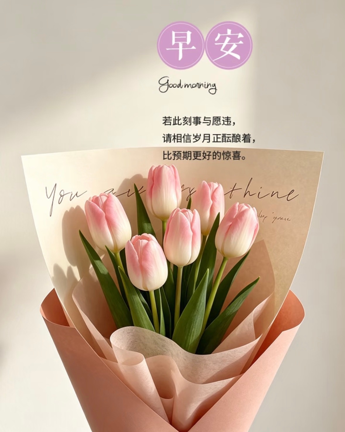 别等风来，也别惧风起，学着做自己的港湾，自己的灯塔，愿我们在不紧不慢中沉淀，在不