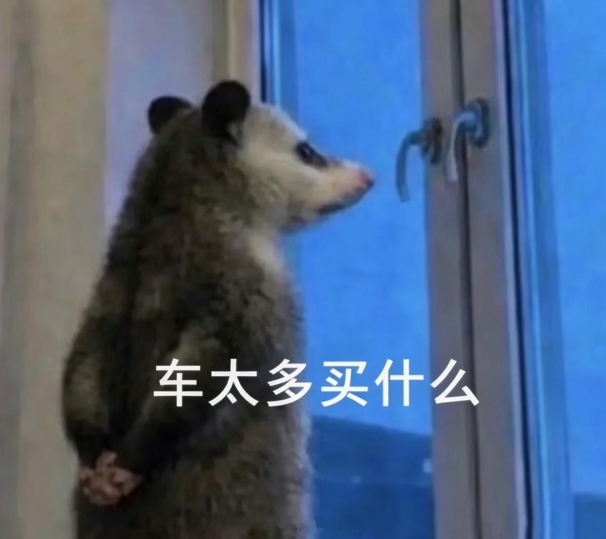 传统汽车发布会，受众基本都是汽车爱好者；但把舞蹈、音乐、体育融合进来，能触达更多