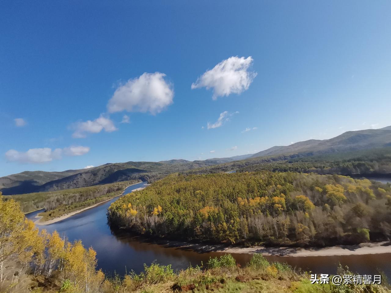蓝天澄澈，阳光穿过树梢，光影散落林间。黄绿相间的树木层层叠叠，木栈道蜿蜒在森林之