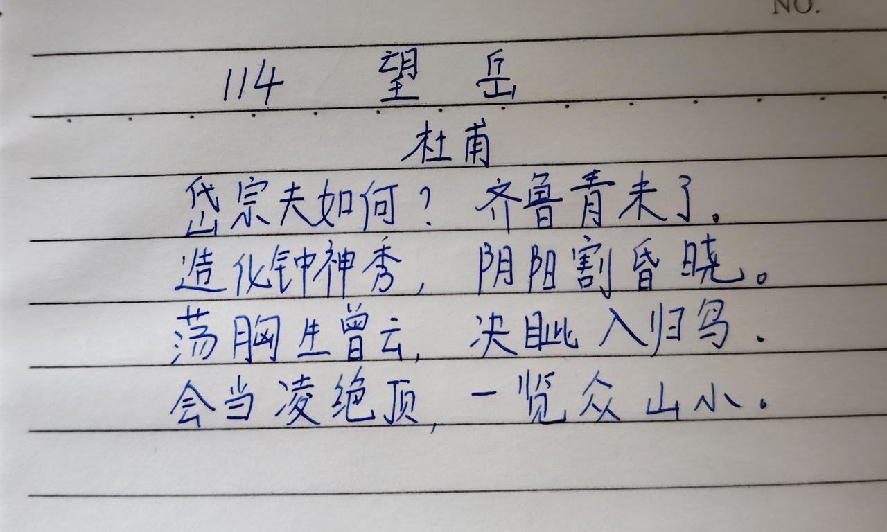 第114天，大泰山！[赞][赞][赞]