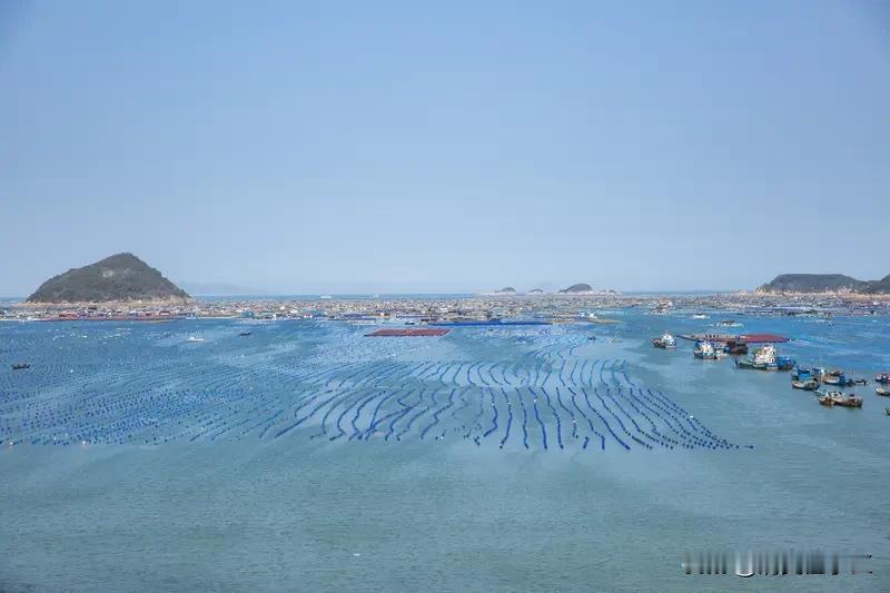 福建连江的“滨海经济”那可真是热力十足！连江拥有绵长的海岸线，海洋资源丰富。这里