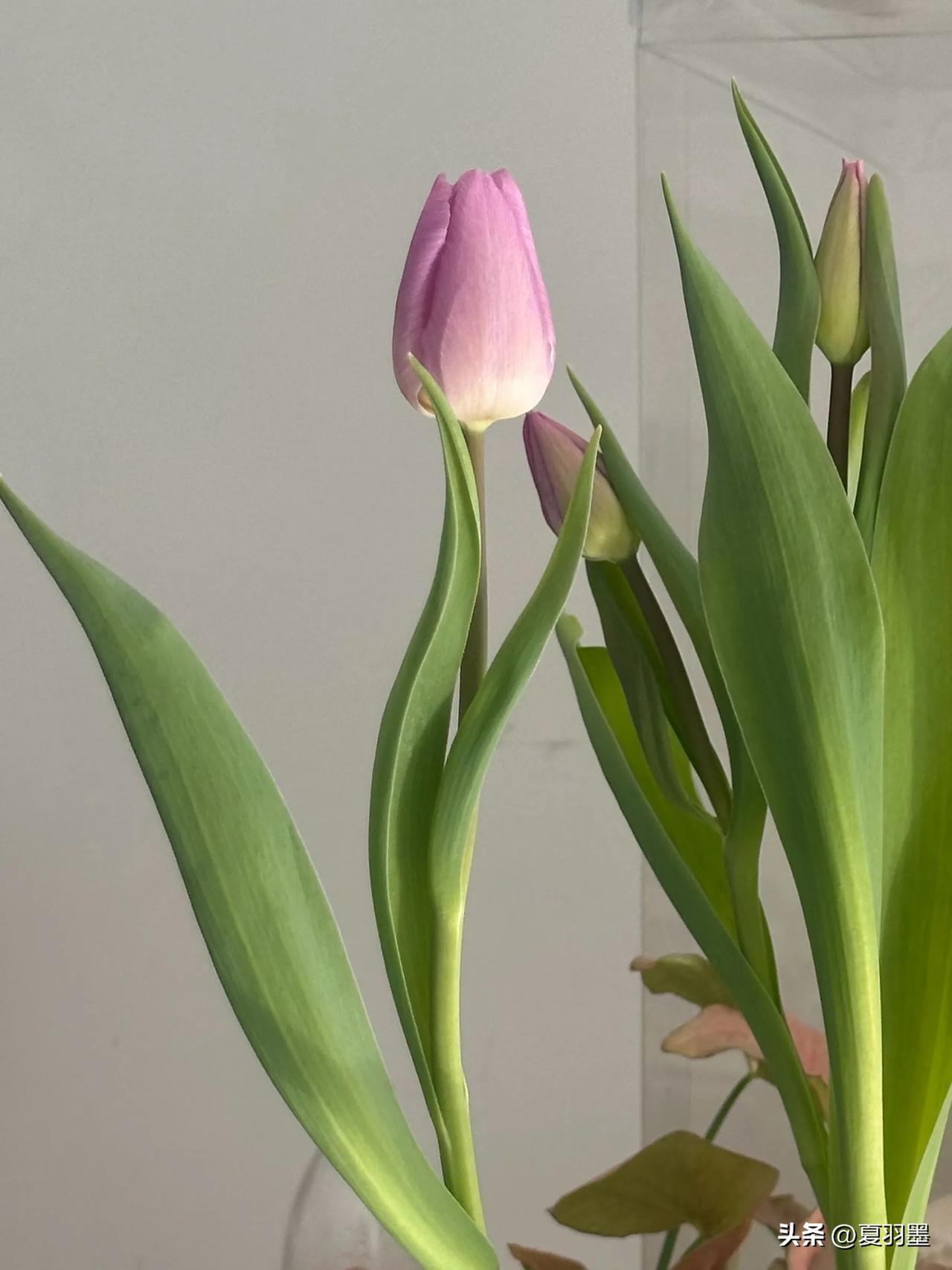 过好当下的每一天，才是最实在的。