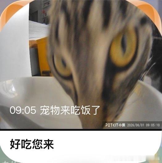 49843【外星人】来吃饭了 