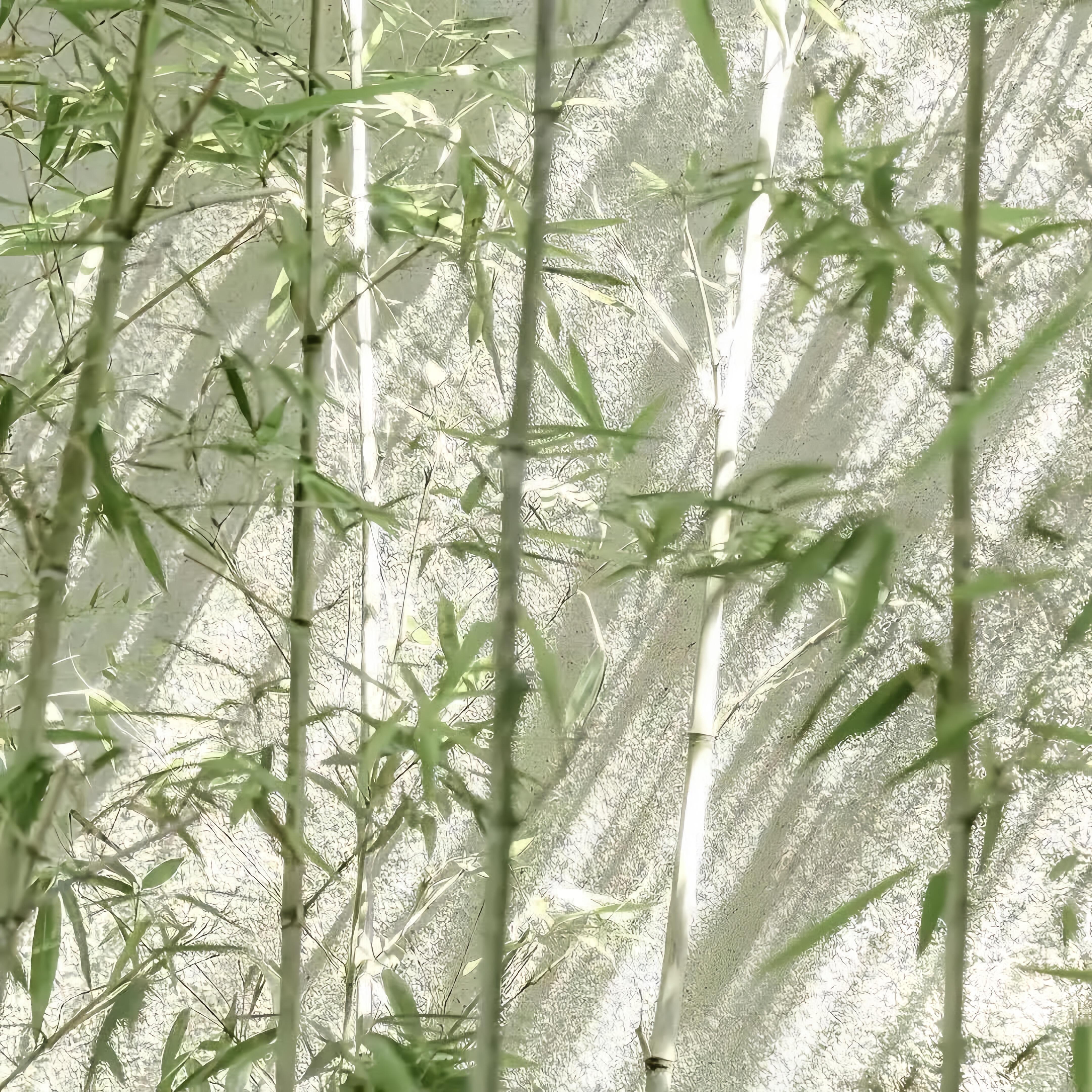 Background｜背景图 