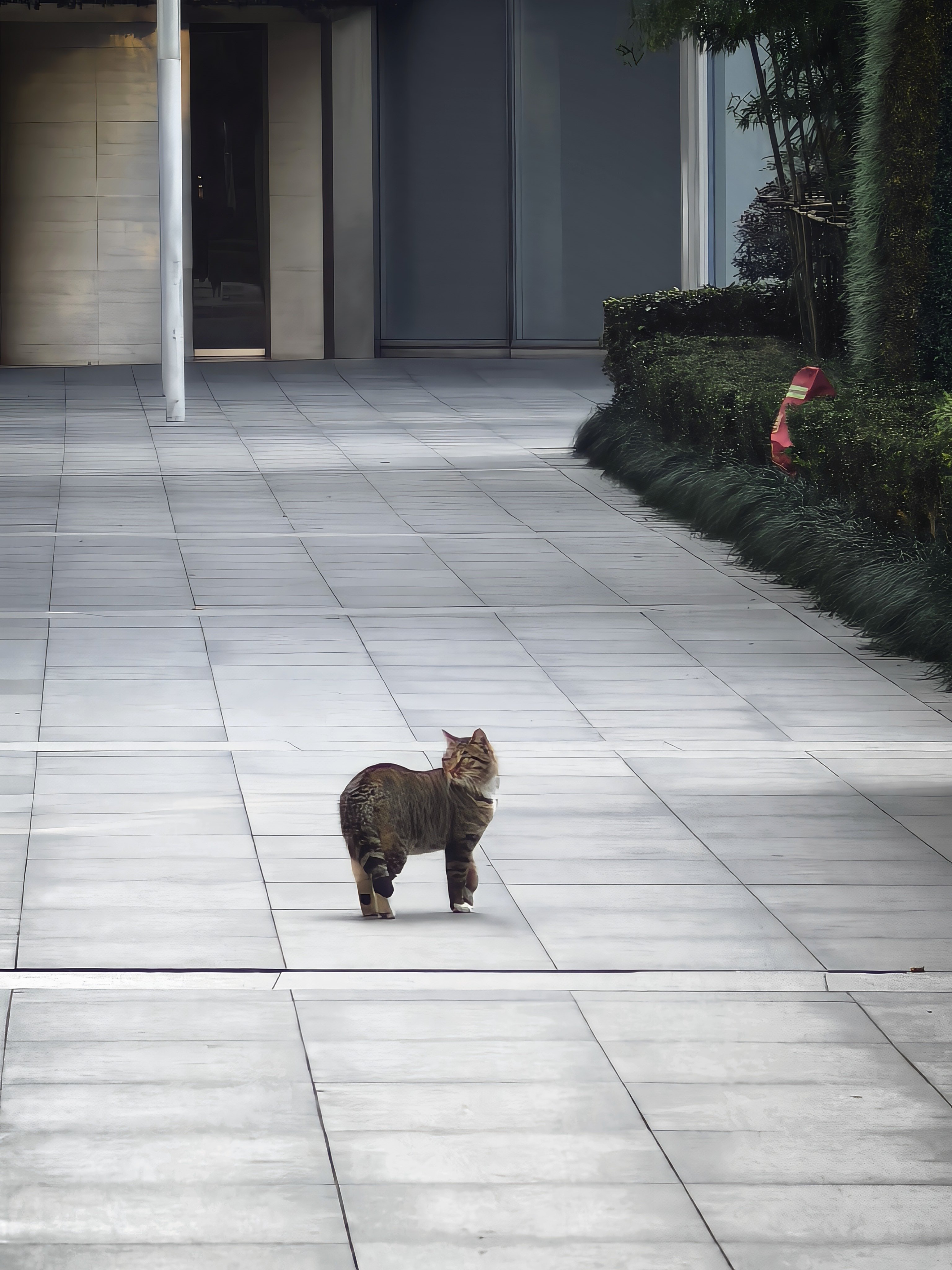 来都来了！游客卡📷 