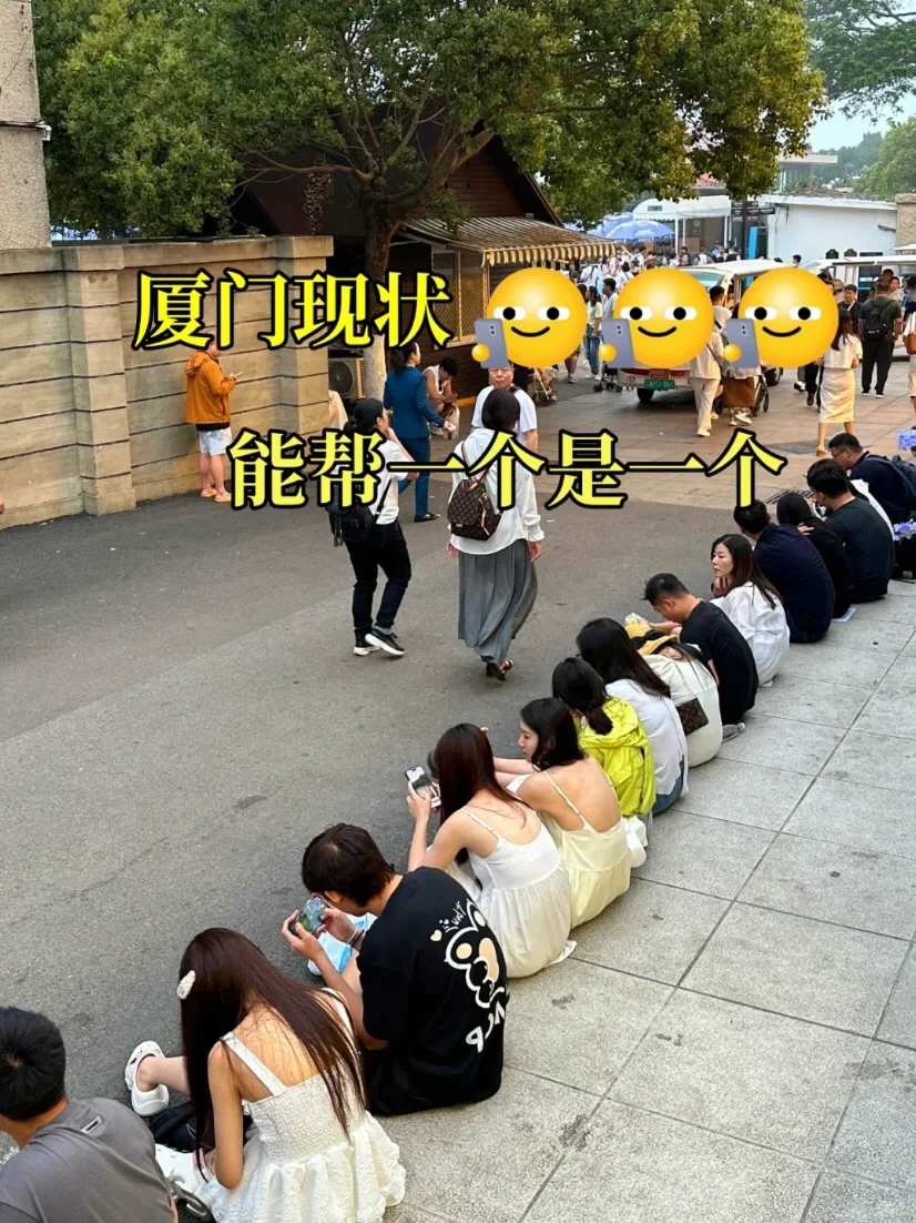 厦门旅游现状…能帮一个是一个😂！