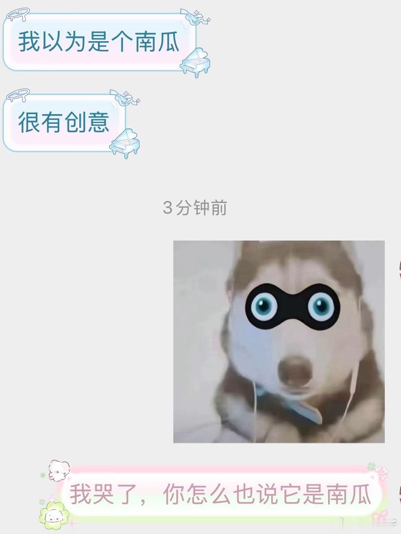 不赞同是南瓜的说法，两个人还共脑了 