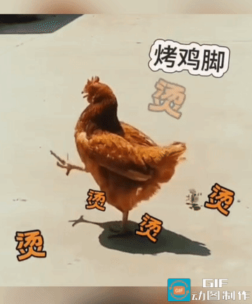 两广热到离谱！地表64.5℃，出门直接蒸桑拿
 
谁能想到才5月底，两广已经热到