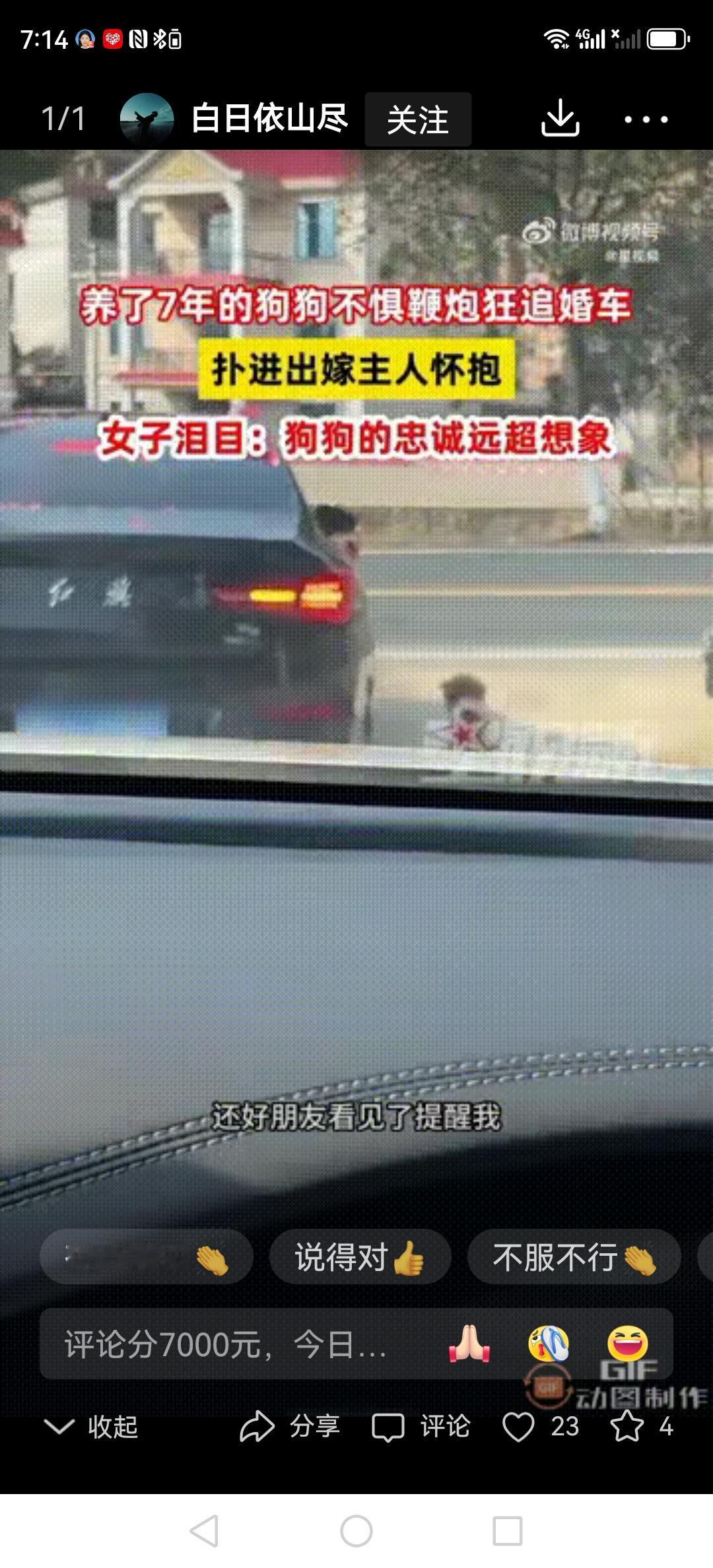 看哭了！江西吉安，新娘结婚那天，养了7年的小狗突然从怀里挣开，疯了似的追着婚车跑