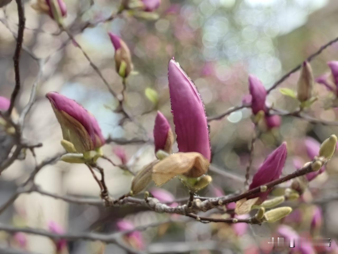 中年以后最好的状态，就是销声匿迹、半隐半藏，除了日常生活外，不需要太多社交和喧闹