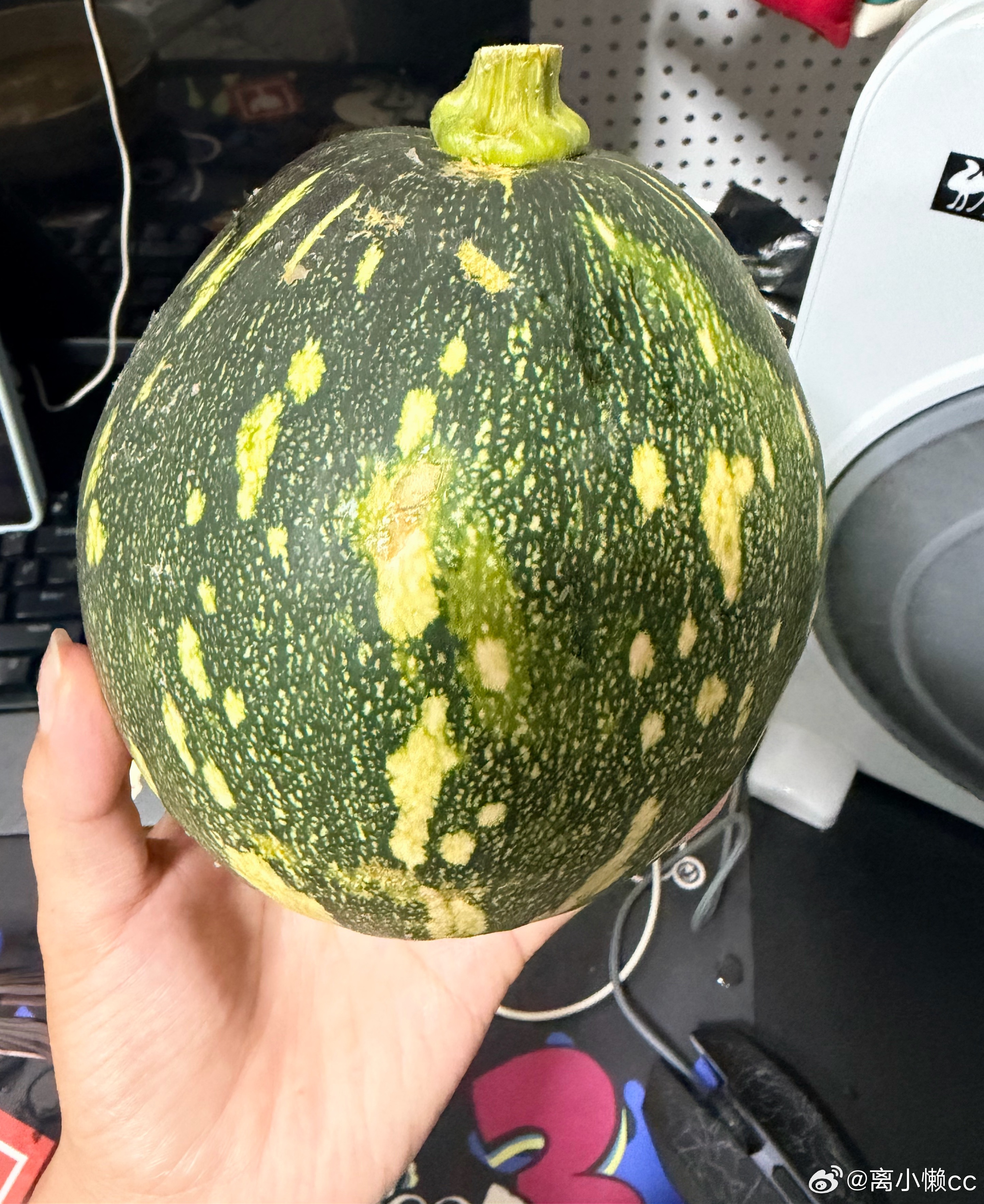昨天买的嫩南瓜，当时没注意看，今天准备水煮打开一看，天塌了！又去找了客服给我退款