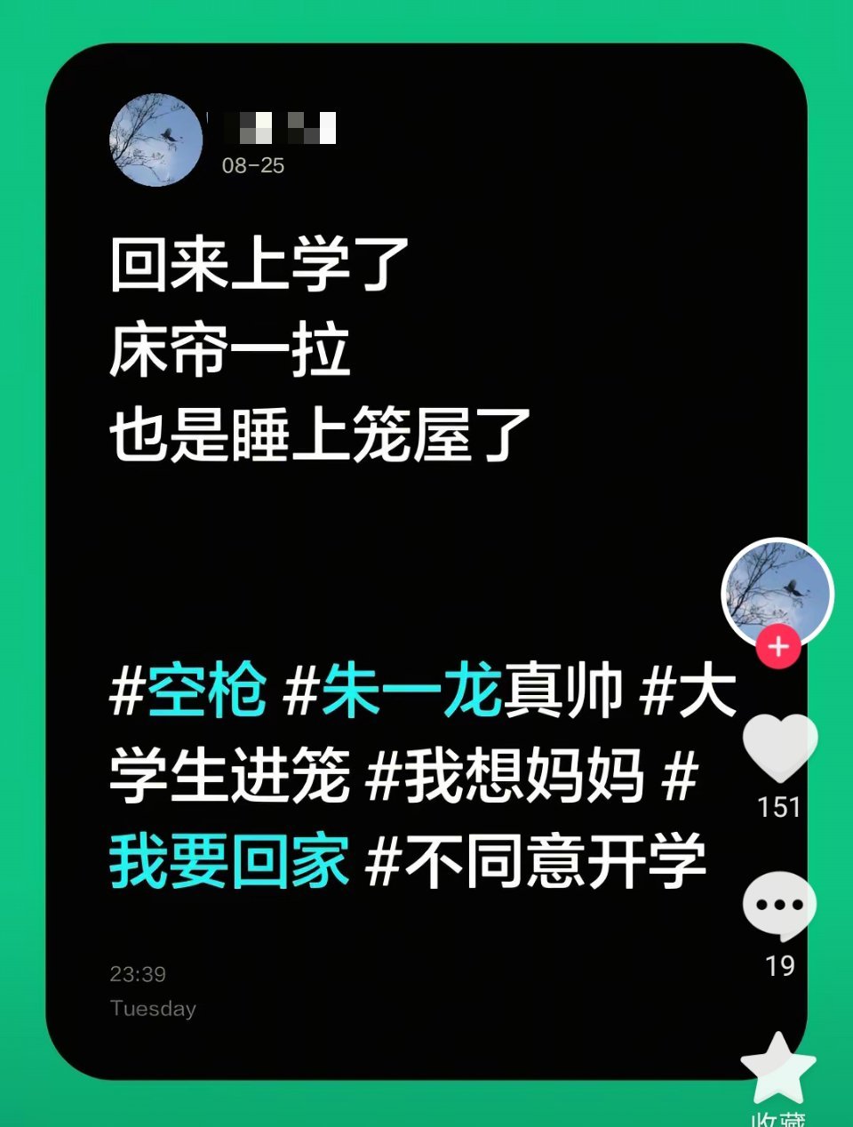小鸟说早早早，你为什么背上炸药包[嘘] ​​​